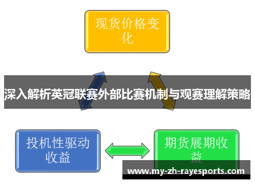 深入解析英冠联赛外部比赛机制与观赛理解策略 深入解析英冠联赛外部比赛机制与观赛理解策略
